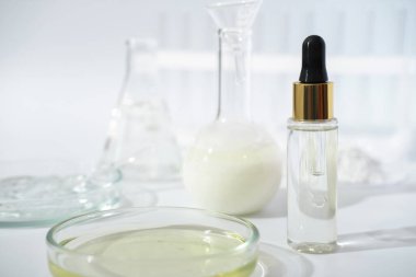 Laboratuvar çanakları ve cam eşyalar laboratuvar masasında. fermantasyon, fermante güzellik cilt bakımı. Yaş karşıtı tedavi için bir şişe çözüm ya da serum.