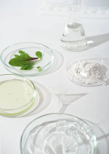 Doğal Kozmetik Malzemeleri Yeşil Yapraklar Kil Tozu Petri Kabı Bir — Stok fotoğraf