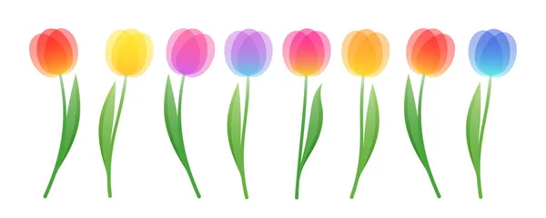 Набор Красочных Стилизованных Тюльпанов Векторный Клипарт Весенних Летних Проектов — стоковый вектор