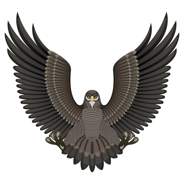Aigle sur fond blanc — Image vectorielle