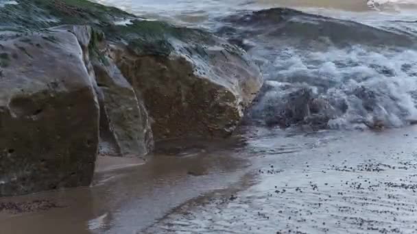 Golven Komen Naar Het Strand Met Donkere Algen Uit Zee — Stockvideo