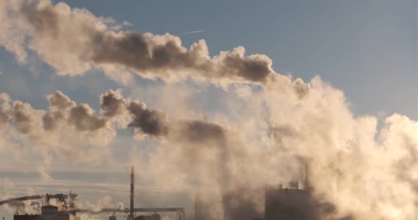 Swedish Paper Industry Smoke Chimney Cold Winter Day — Stockvideo