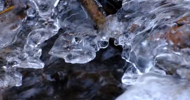 Invierno Con Agua Corriente Bajo Hielo Del Bosque Sueco Enero — Vídeos de Stock