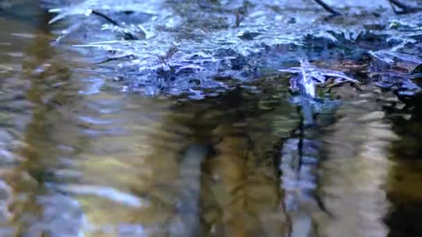 Nehrin Kenarında Güzel Şekillendirilmiş Buz Kristalleriyle Ormanda Akan Sular — Stok video