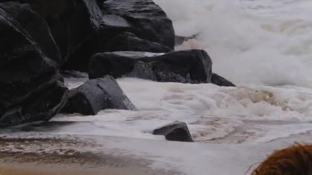 Africa Beach Powerful Waves Well Rocks Keta Ghana — Stock Video