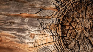 Kırsaldaki eski bir ahırın kereste parçası. Güneşten gelen doğal ışık.