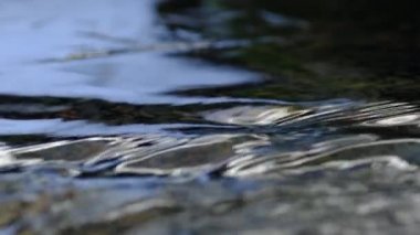 Baharda kar ve buz eridiğinde İsveç ormanlarında akan berrak su.