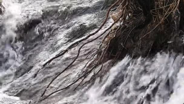 Agua Manantial Que Fluye Del Río Cascadas Suecas — Vídeos de Stock