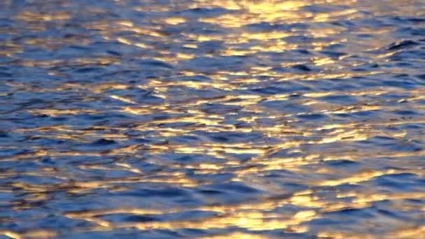 Шведское Балтийское Море Закате Золотым Золотом Мерцает Среди Волн Замедленной — стоковое видео
