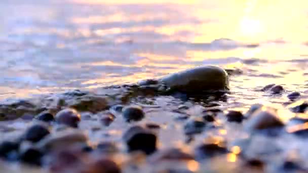 Baltic Sea Calm Water Pebble Beach Reflects Glitter Sunset Film — Stockvideo