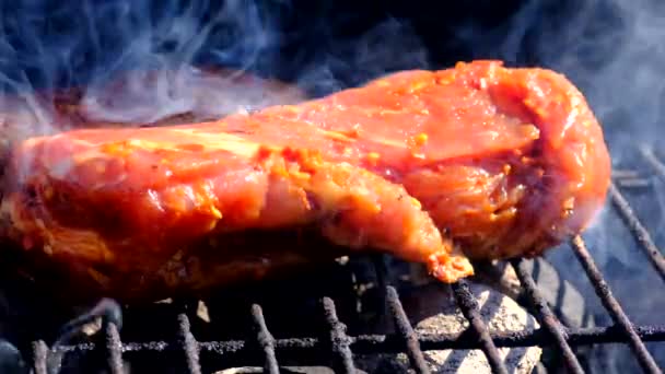 Grilling Time Meat Placed Hot Grill Heated Charcoal Swedish Summer — Stock Video