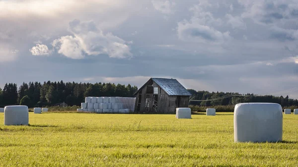 Old barn with rolled up straw standing on open farmland during sunset on a late August evening