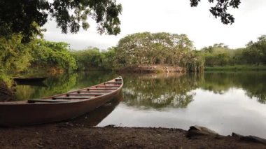 Birds gathering on an island with trees with a boat lying on the shore in Accra Ghana West Africa