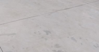 Meyve ve sebze depolayan hangarda forklift. Tarım buzdolabı.