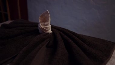 Masaj, oryantal terapi, refah ve meditasyon. Spa arkaplanı. 