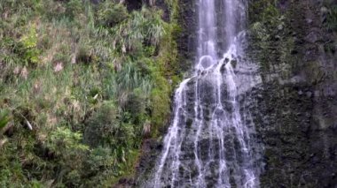 Auckland Yeni Zelanda 'da Karekare Şelalesine Yakın
