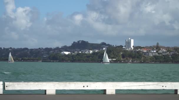 Jachty Plachtění Auckland City Harbour — Stock video