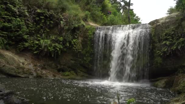 Oakley Creek Waterfall Auckland New Zealand — Stock Video