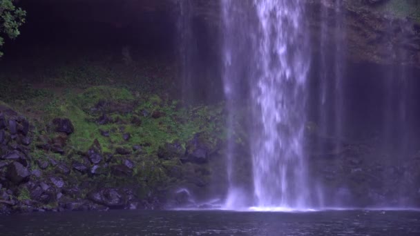 Närbild Vattenfall Vid Rainbow Falls Kerikeri Nya Zeeland — Stockvideo