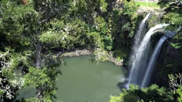 Zijaanzicht Van Whangarei Falls Northland Nieuw Zeeland — Stockvideo