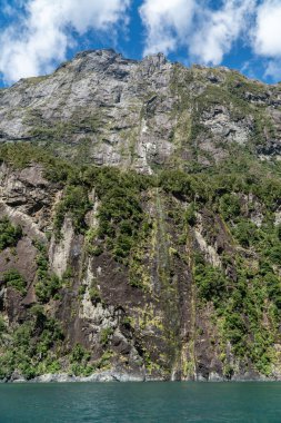 Dik Kaya Surat Yeni Zelanda 'nın güney adasındaki Milford Sound' da sudan yükseliyor.