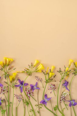Assortment of Winter Wildflowers Arranged on Cream Background with Copy Space Vertical