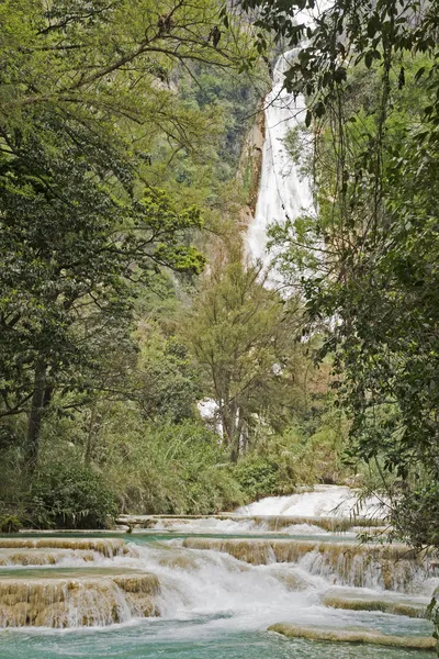 Waterfall in a Mexican jungle — Stock Photo, Image