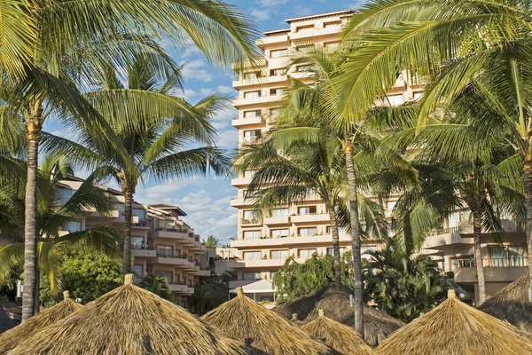 Condo with palm trees — Stock Photo, Image