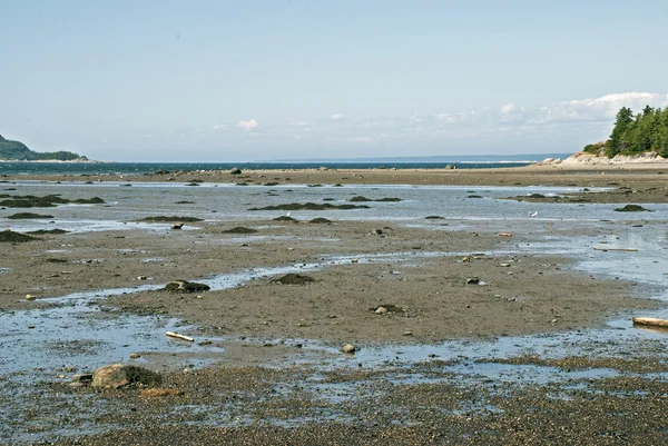 Low tide on the St. Lawrence River estuary — Stock Photo, Image