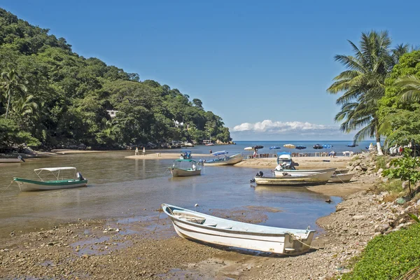 nehir ağzı ile Pasifik Okyanusu