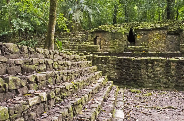 Ruïnes van de oude Maya's in palenque — Stockfoto