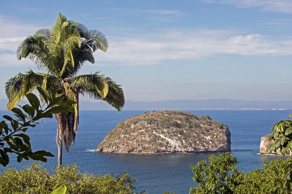 Pobřežní scenerií s ostrůvsem Stock Snímky