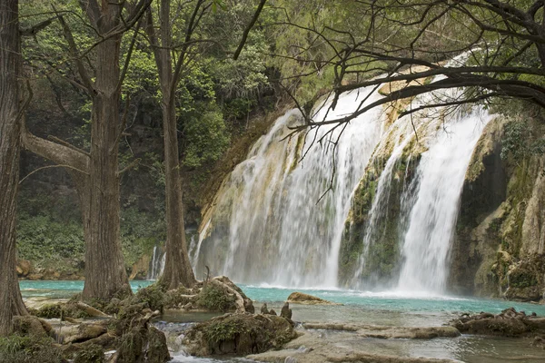 Waterfall in jungle — Stock Photo, Image