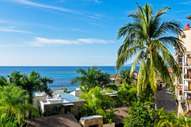 Meksika, Puerto Vallarta 'da Pasifik Okyanusu kıyısındaki yerleşim yeri. Önünde palmiye ağacı var.