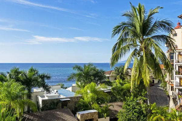 Residential Area Pacific Ocean Puerto Vallarta Mexico Palm Tree Foreground — Stock Photo, Image