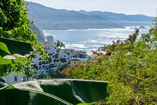 Résidences Dans Les Collines Côtières Puerto Vallarta Mexique — Photo