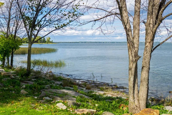 View Large River Tree Lined River Bank — Stock Photo, Image