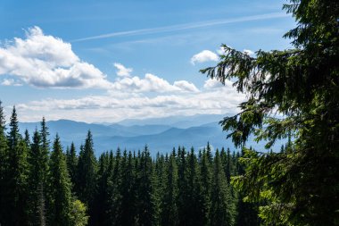 Sıcak, güneşli bir günde, dinamik beyaz bulutlarda, dağların ve yeşil ormanın güzel manzarası.