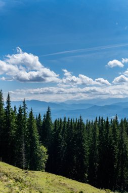 Sıcak, güneşli bir günde, dinamik beyaz bulutlarda, dağların ve yeşil ormanın güzel manzarası.
