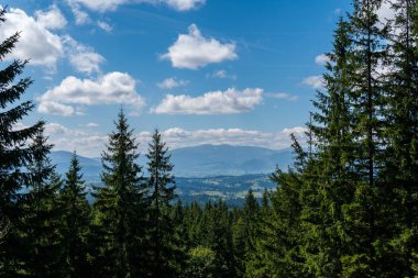 Sıcak, güneşli bir günde, dinamik beyaz bulutlarda, dağların ve yeşil ormanın güzel manzarası.