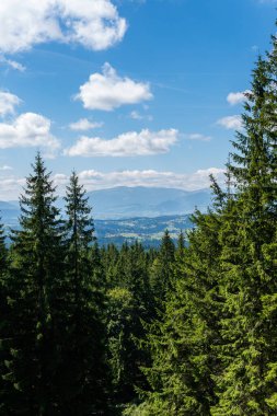 Sıcak, güneşli bir günde, dinamik beyaz bulutlarda, dağların ve yeşil ormanın güzel manzarası.