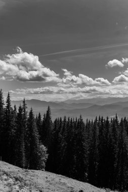 Sıcak, güneşli bir günde, dinamik beyaz bulutlarda, dağların ve yeşil ormanın güzel manzarası.