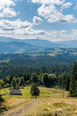Dağların güzel manzarası ve kırsal bölgelerdeki eski ev. İnekler ve devriye köpekleri var.