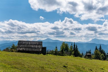 Dağların güzel manzarası ve kırsal bölgelerdeki eski ev. İnekler ve devriye köpekleri var.
