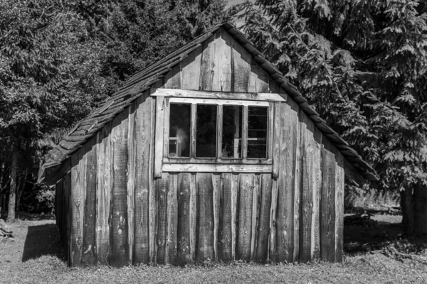 Uma Pequena Casa Madeira Velha Livre Floresta — Fotografia de Stock