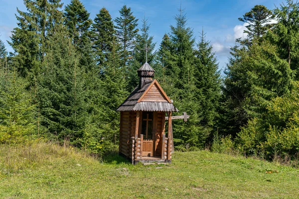 Uma Pequena Casa Madeira Velha Livre Floresta — Fotografia de Stock