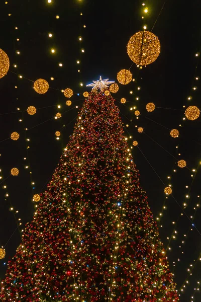 Κίεβο Κίεβο Ουκρανία Δεκεμβρίου 2021 Διακοσμημένο Κύριο Εορταστικό Χριστουγεννιάτικο Δέντρο — Φωτογραφία Αρχείου