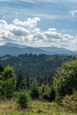 Güneşli bir yaz gününde kırsal alanda güzel bir doğa, dağlar ve orman manzarası.