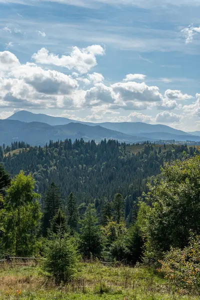 Güneşli bir yaz gününde kırsal alanda güzel bir doğa, dağlar ve orman manzarası.