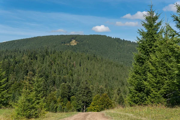 Güneşli bir yaz gününde kırsal alanda güzel bir doğa, dağlar ve orman manzarası.